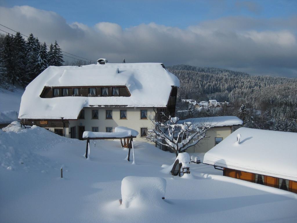 Dachsberg im Schwarzwald Haus Am Kreuzbuehl 아파트 외부 사진