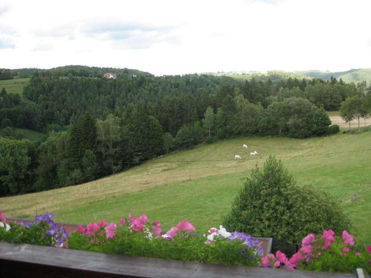 Dachsberg im Schwarzwald Haus Am Kreuzbuehl 아파트 외부 사진